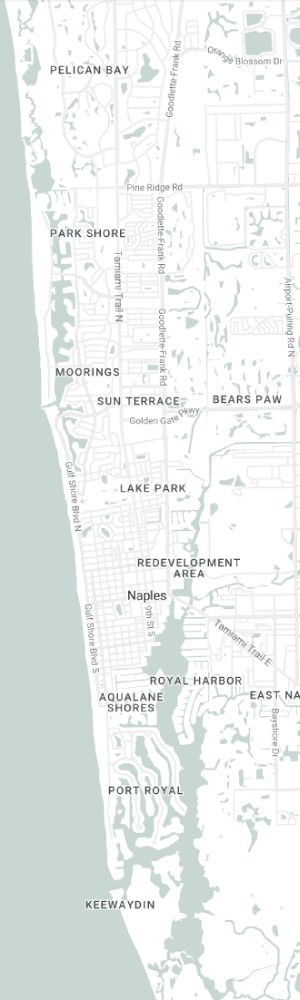 Our Naples SEO Company with a grey scale map of Naples, FL